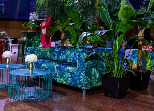Jungle Set