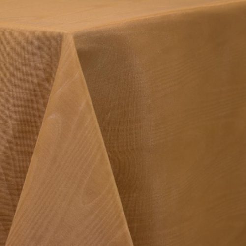 Camel 850