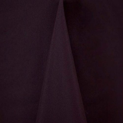 Eggplant 153