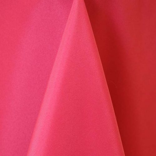 Fuchsia 149