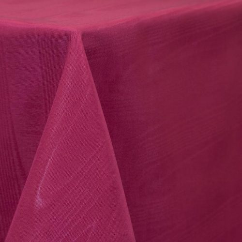 Fuchsia 813