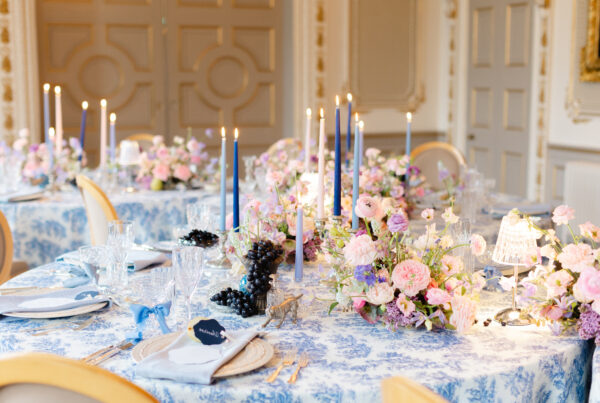 lilys toile blue