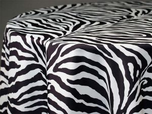 Zebra-501
