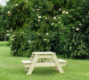 picnic bench